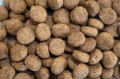 Hipoalergiczna karma dla psa z kaczką i łososiem Dr John Hypoallergenic Duck and Salmon 12,5 kg 100% bez kurczaka 3323
