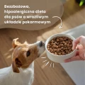Hipoalergiczna bezzbożowa sucha karma dla psa z kurczakiem Dr John Grain Free Chicken and Potato 6 kg  - granulat 4676