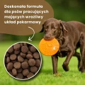 Hipoalergiczna sucha karma dla psa z kurczakiem Dr John Hypoallergenic Activ DUO-PACK 25 kg 4694