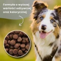 Sucha karma dla psa z kurczakiem Dr John Titanium Rich in Chicken with Vegetables 15 kg 4734