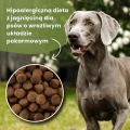 Hipoalergiczna karma dla psa z jagnięciną Dr John Hypoallergenic Lamb with Rice 12.5 kg 4746