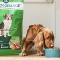 Sucha karma hypoalergiczna dla psa z jagnięciną Arden Grange Adult Lamb 2 kg 4882