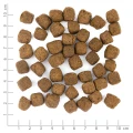 Sucha karma dla psa Wolfsblut Dog Limited Ingredients Dark Forest - dziczyzna i bataty 9 kg 4944