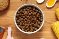 Hipoalergiczna karma dla psa z kaczką i łososiem Dr John Hypoallergenic Duck and Salmon 2 kg 100% bez kurczaka 5061