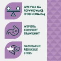 Arden Grange Adult Calming Turkey 12 kg bezzbożowa karma dla dorosłych psów z indykiem - grafika 5166