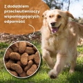 Sucha karma dla psa z kurczakiem Dr John Gold Rich in Chicken with Vegetables 2 kg 5184
