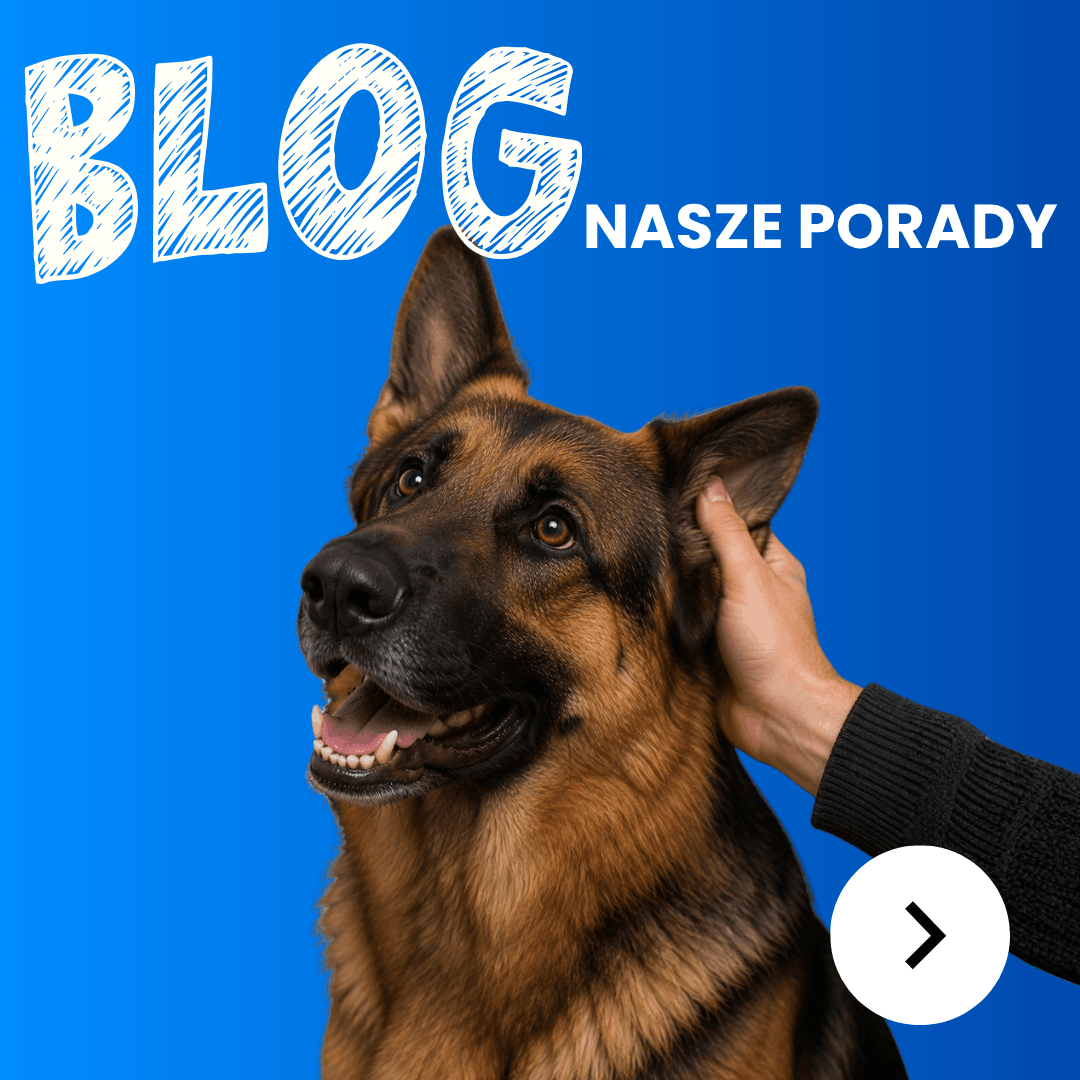 Porady odnośnie karm dla psów