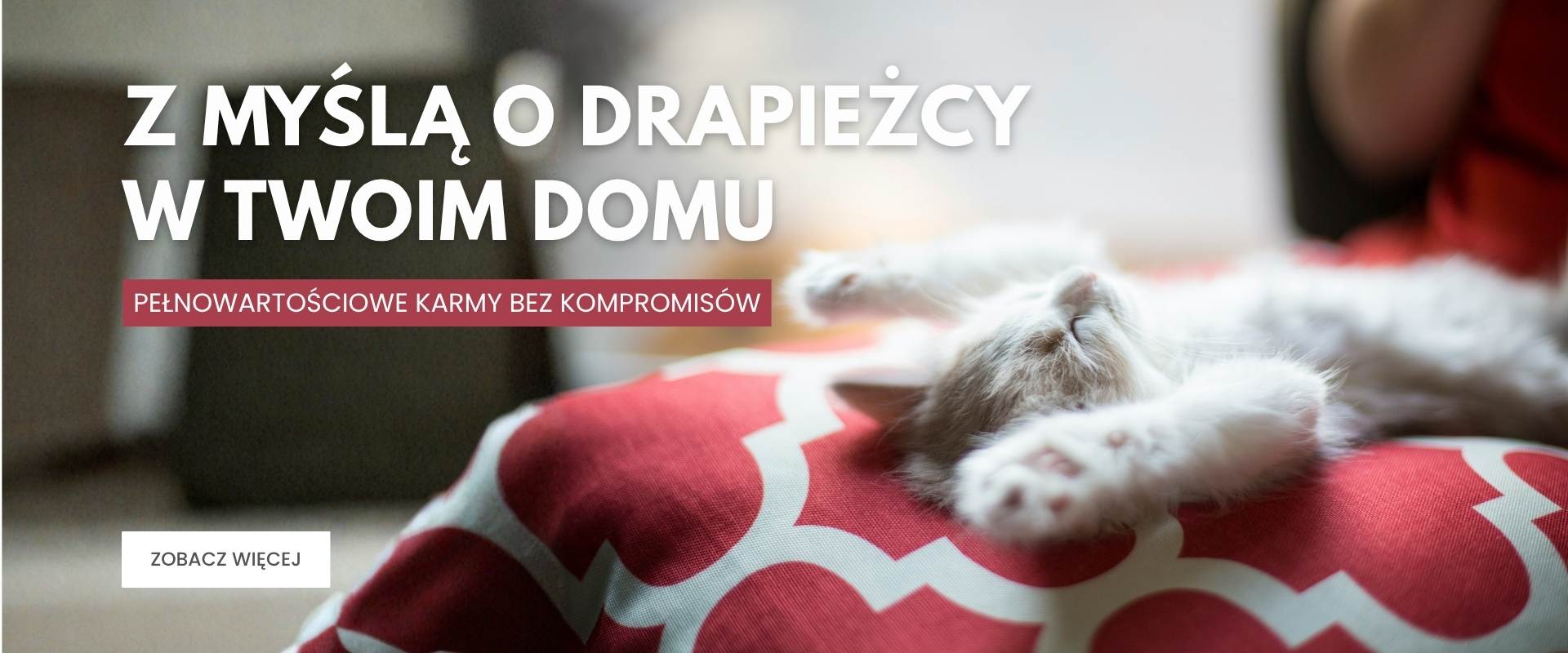Karma koty