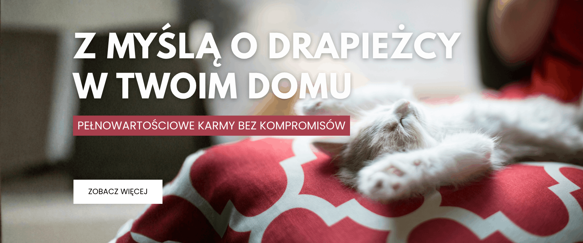 Karma koty